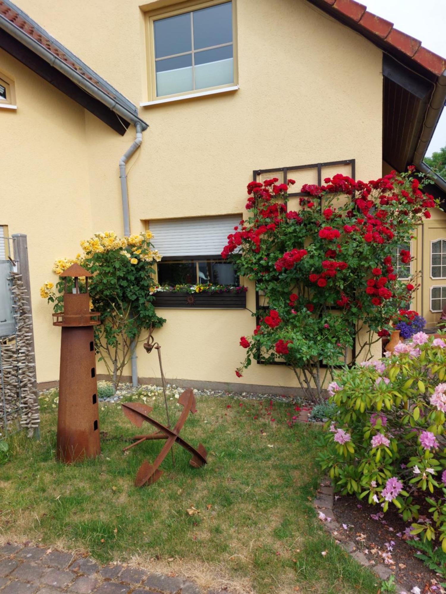 Ostseeferien In Lichtenhagen-Dorf Ferienwohnung Elmenhorst/Lichtenhagen Exterior photo